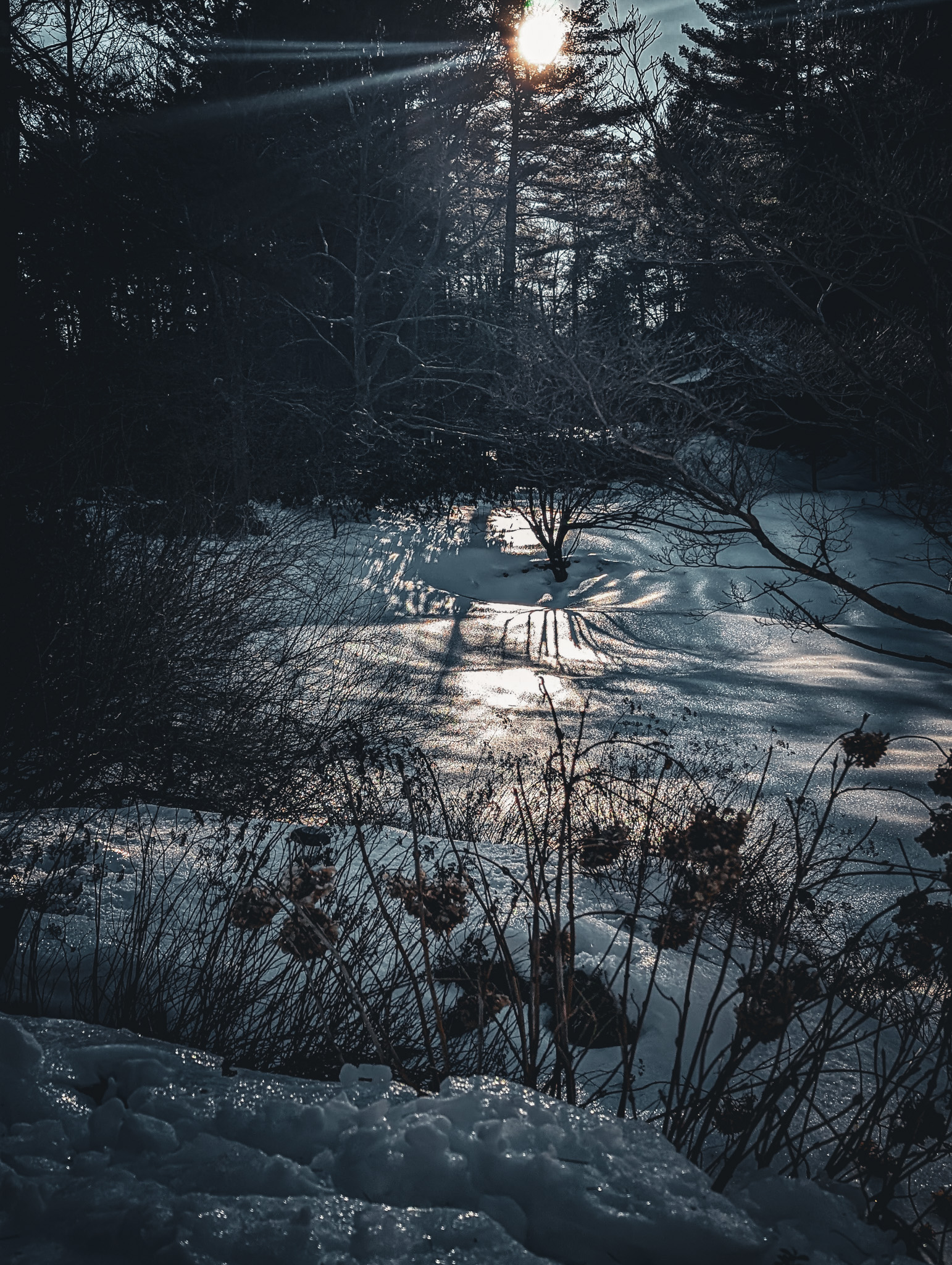 A view of my front yard this past winter. The drifts of snow had been windshorn, melted, and refrozen in such a way that made it look like a frozen lake, the surface of it a solid block of ice that shimmered. The darkness of the setting sun is oppressive.