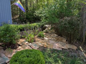 Dug up and relocated some of the hydrangea in the crowded space, then added cardboard sheets for temporary weed control to snuff out some problems I've been having here.